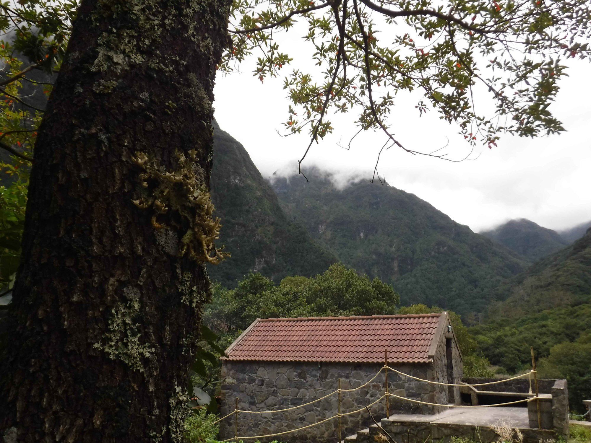 Nature Inn Madeira - Glamping Porto Moniz Exterior foto